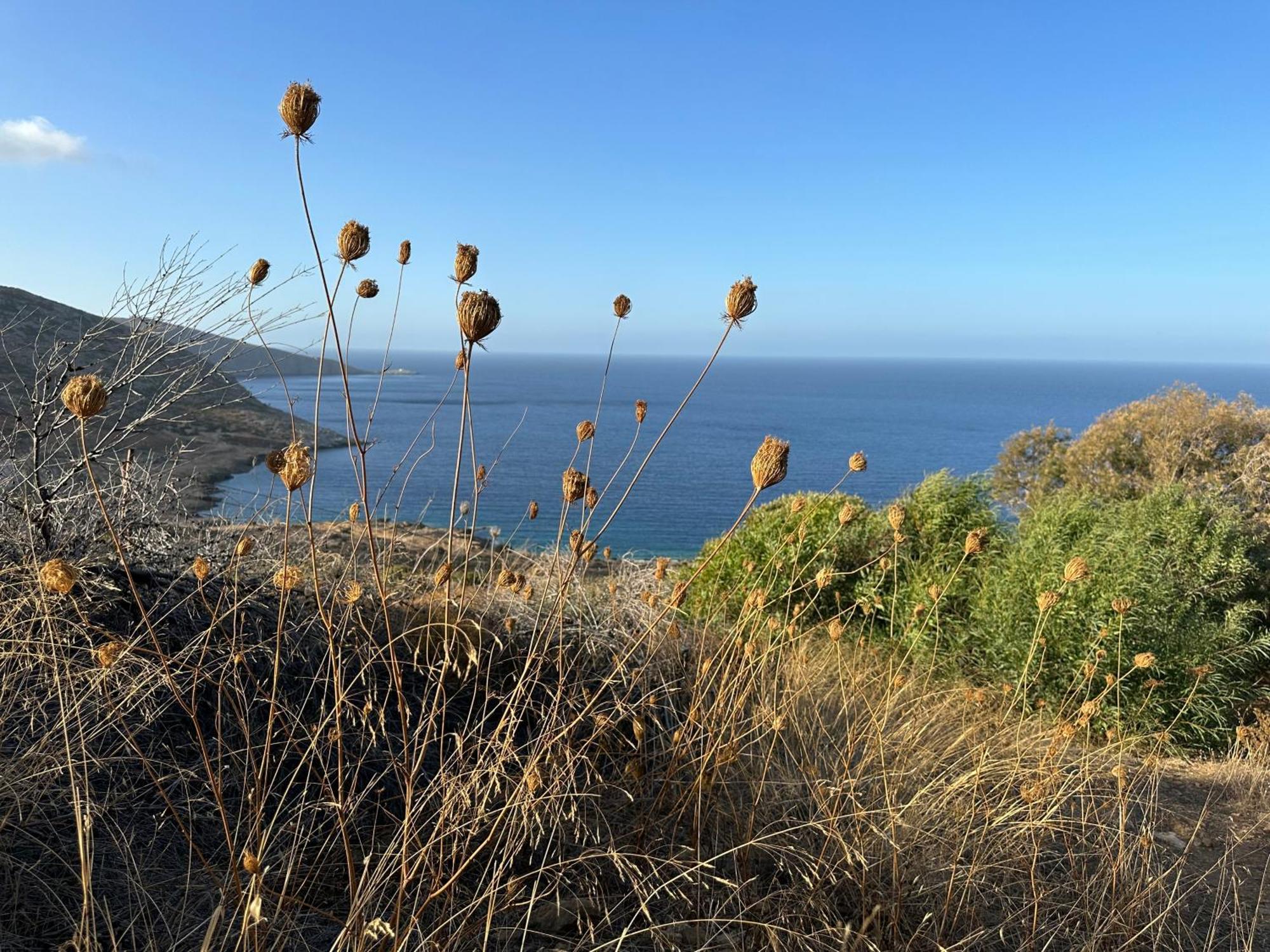 Maison Meltem Agia Pelagia  Buitenkant foto