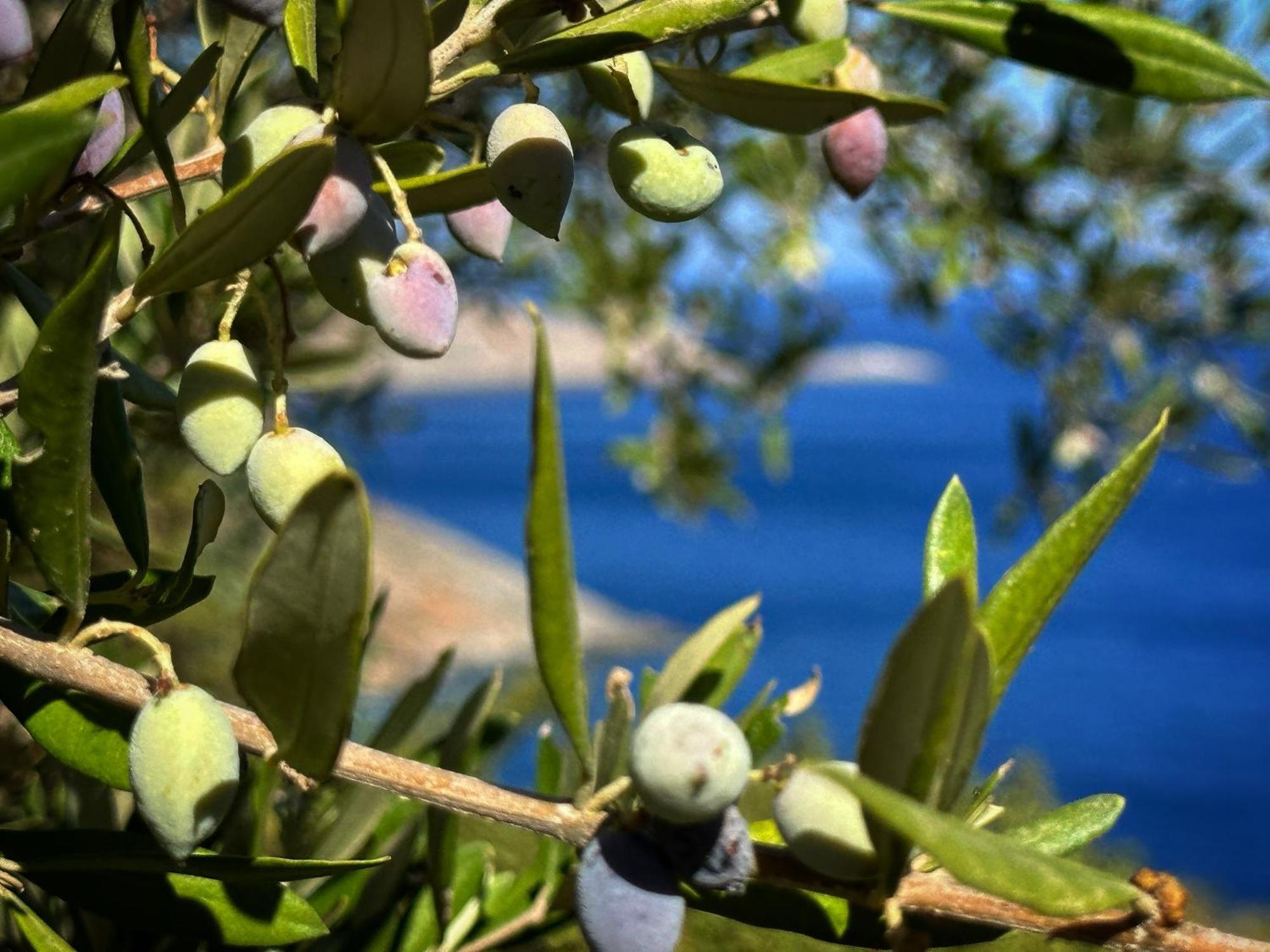 Maison Meltem Agia Pelagia  Buitenkant foto